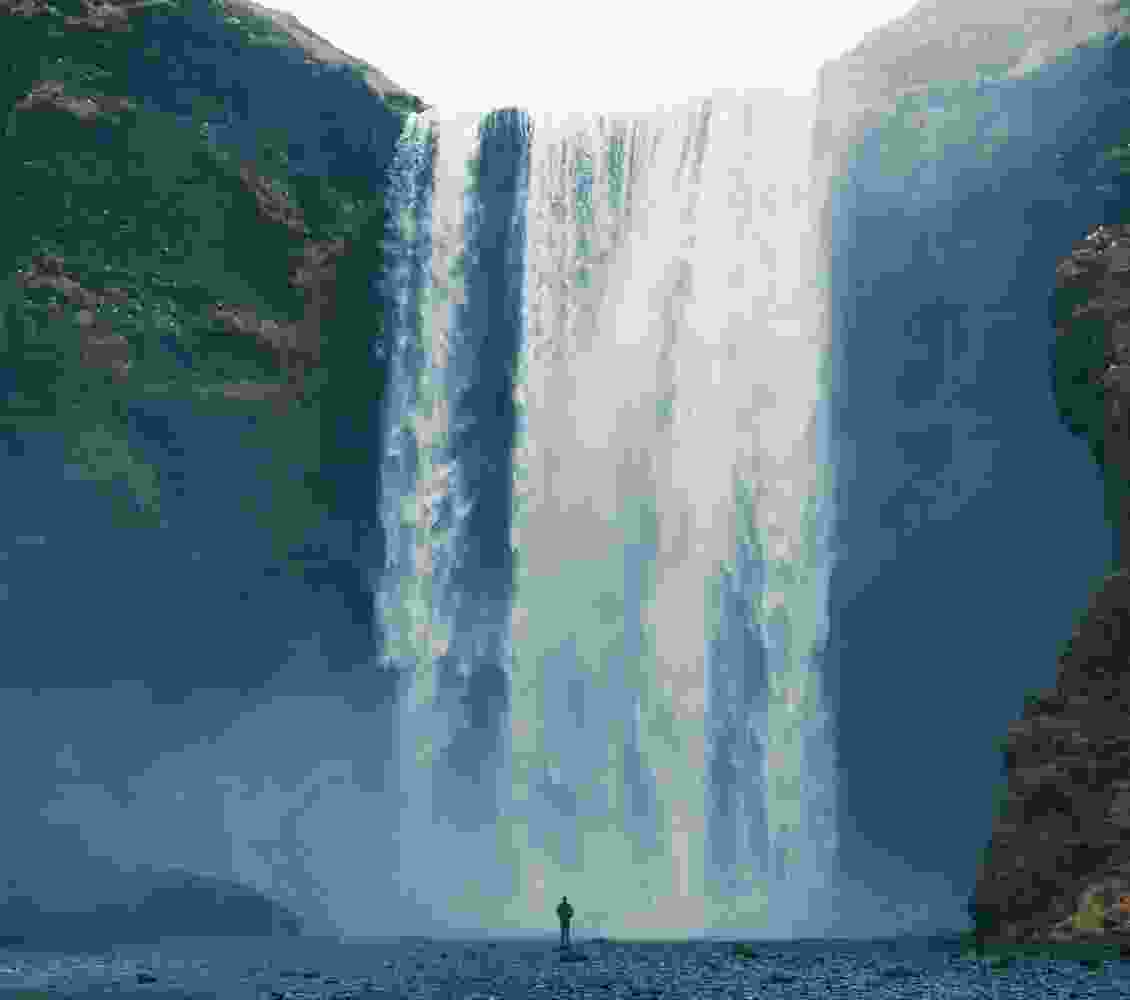 Listing Taxonomy Image Listing Taxonomy Image